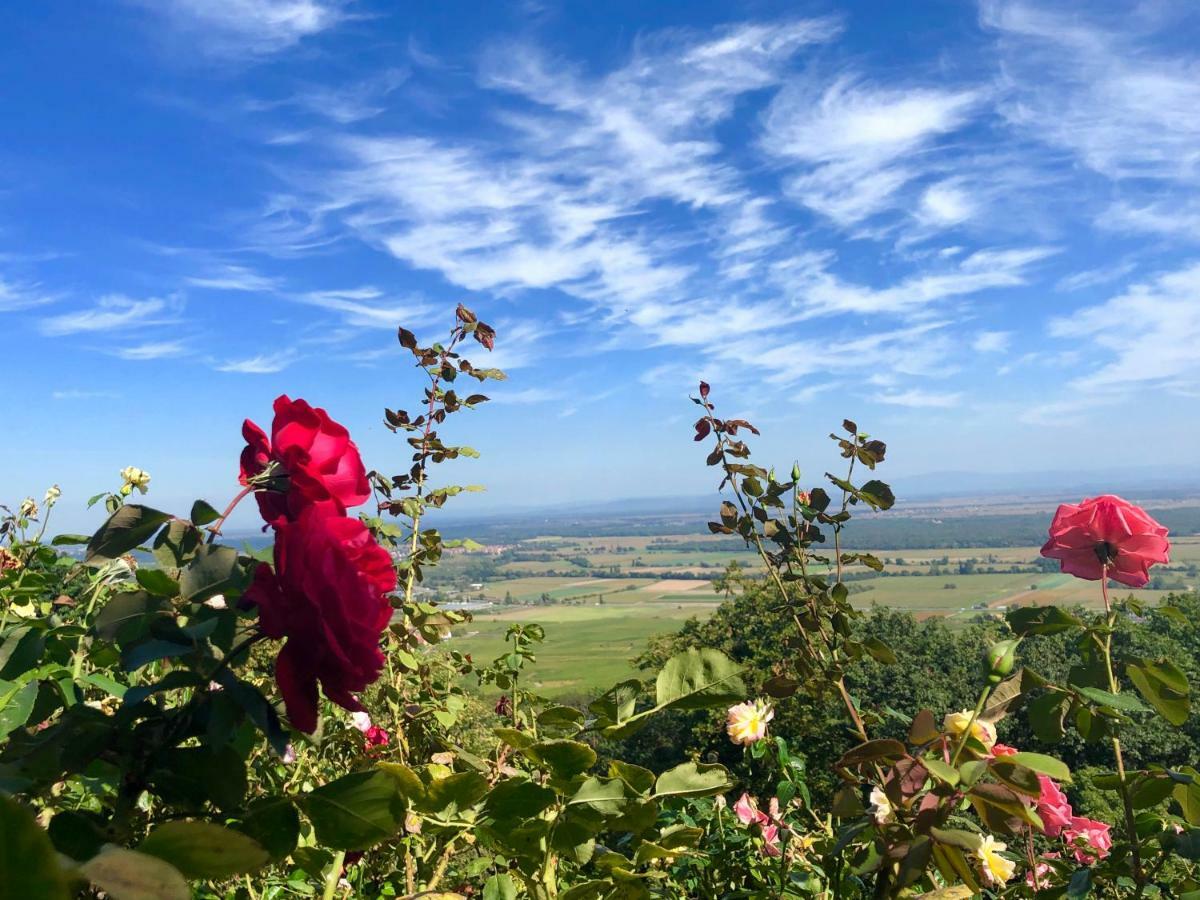 Lo'Gite L'Allee Du Val Lalaye エクステリア 写真